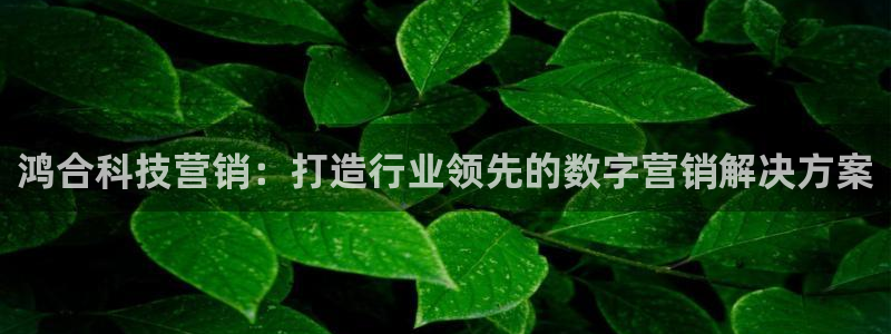 金年会pg电子官网首页