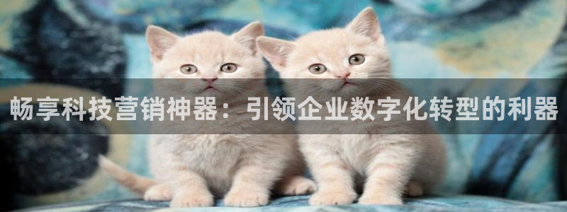 金年会手机版怎么下载