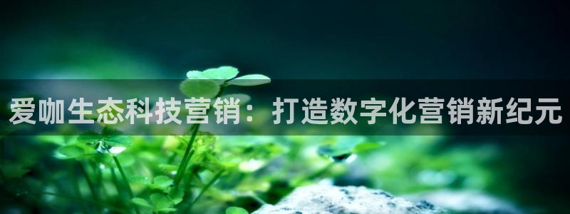 金年会官方网站入口app