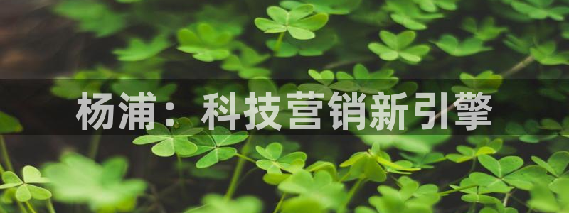 金年会体育合法吗