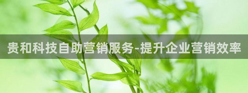 金年会pg麻将胡了几张牌
