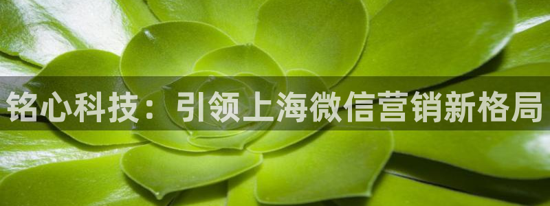 金年会赌博