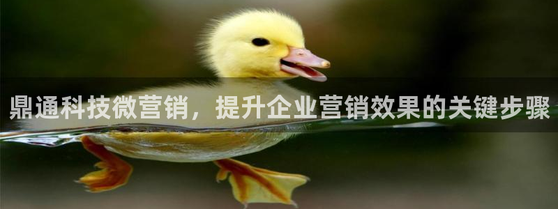 金年会电子游戏