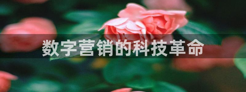 金年会手机网页版