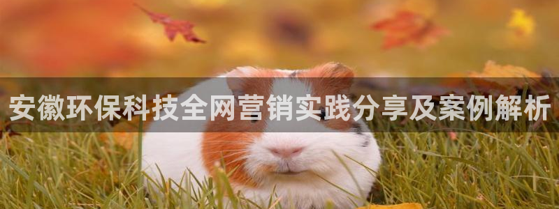 金年会官方娱乐app下载