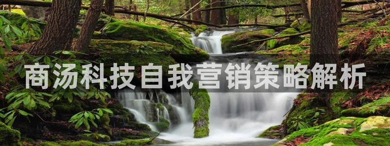 金年会金字招牌荣誉至上