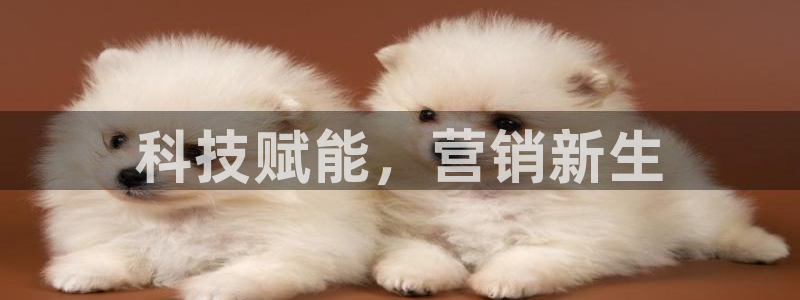 金年会电子游戏app官方入口网站