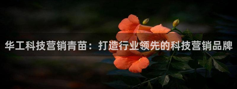 金年会官方入口2023