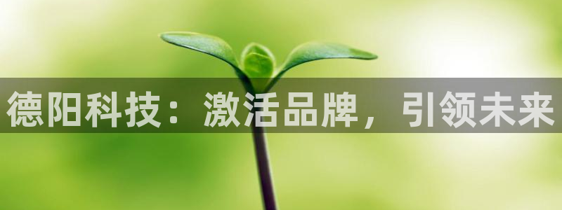 金年会网站被拒绝出款怎么处理?