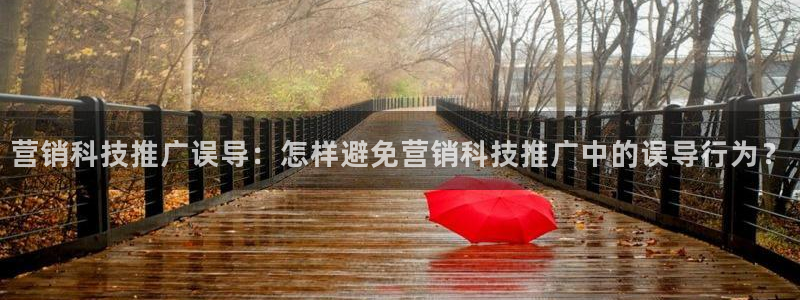 金年会体育app平台怎么样可靠吗