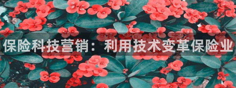 金年会体育网app下载