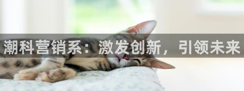 金年会电子游