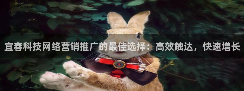 金年会在线入口