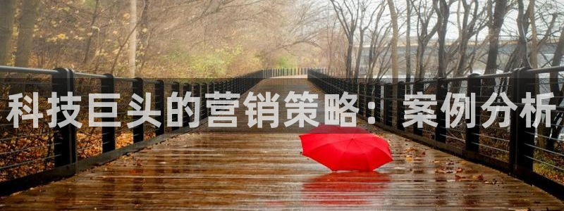 金年会体育网页版