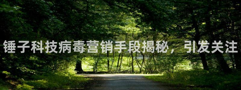 金年会app官网