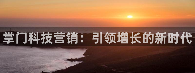 金年会网站洗黑钱