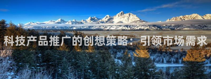 金年会网站拒绝出款怎么办?