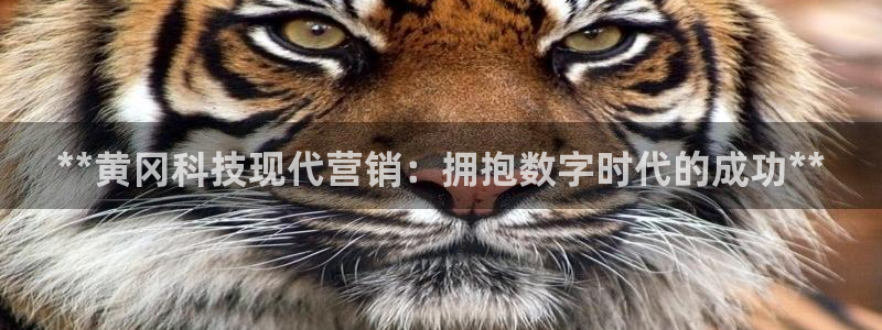 金年会ios下载