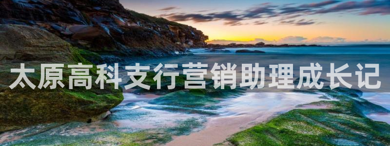金年会平台官网登录