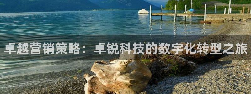 金年会app登录官网