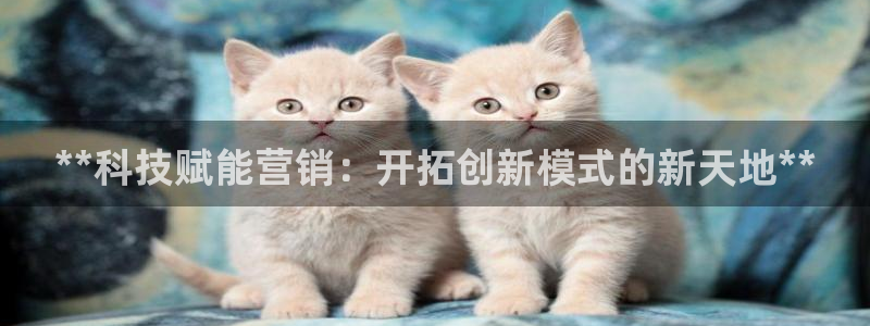 金年会体育网址登录