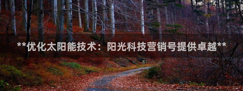 金年会官方在线入口网站查询