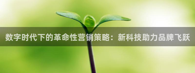 金年会官方网址查询