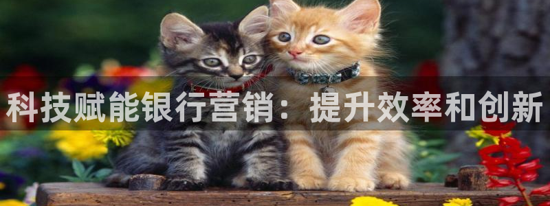 金年会体育综合App