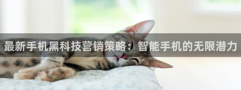 金年会app官方网站