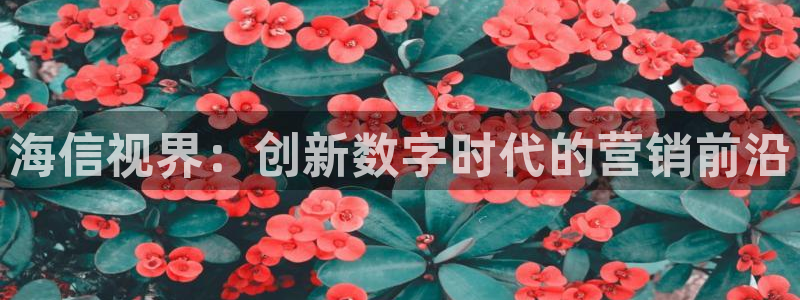 金年会下载