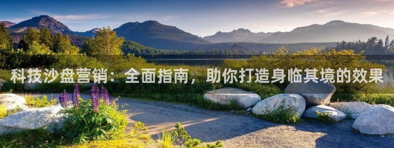 金年会电子官网下载