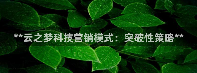 金年会官方下载app