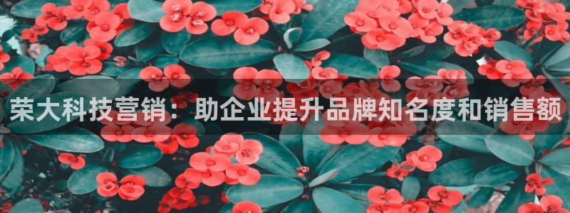 金年会体育平台登录