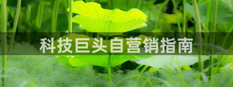 金年会官方娱乐app下载安装