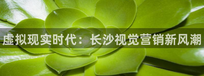 金年会网页版在线登录官网