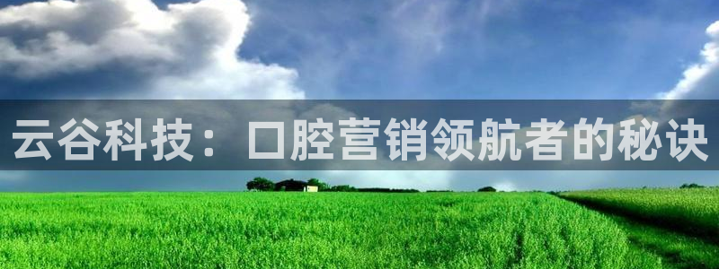 金年会下载哪个买球赛