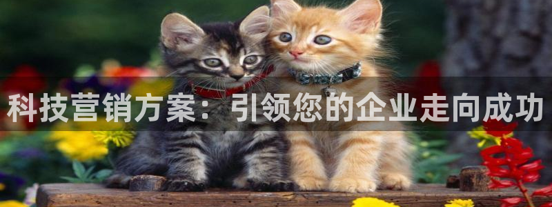 金年会ios