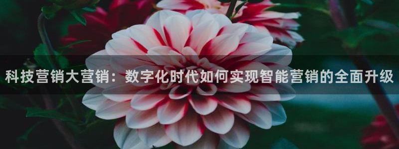 金年会手机网页版吗