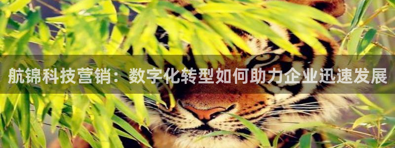 金年会app下载官网