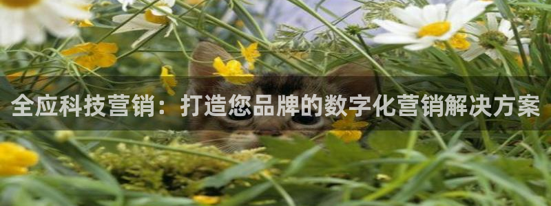 金年会app平台有人