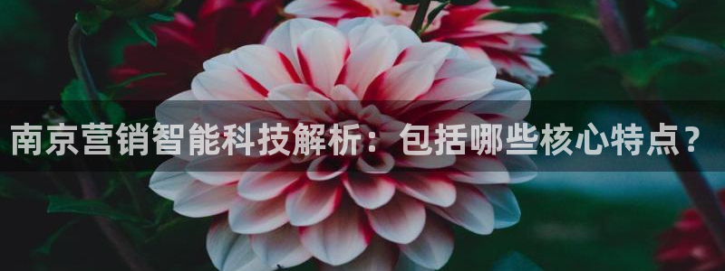 金年会体育如何